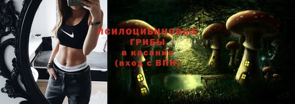 PSILOCYBIN Фурманов