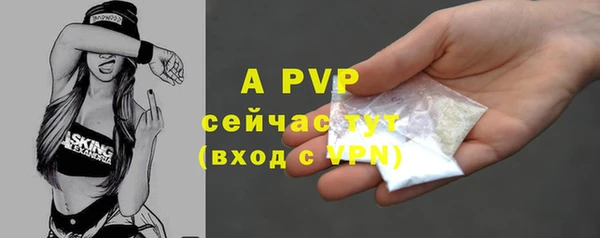 PSILOCYBIN Фурманов