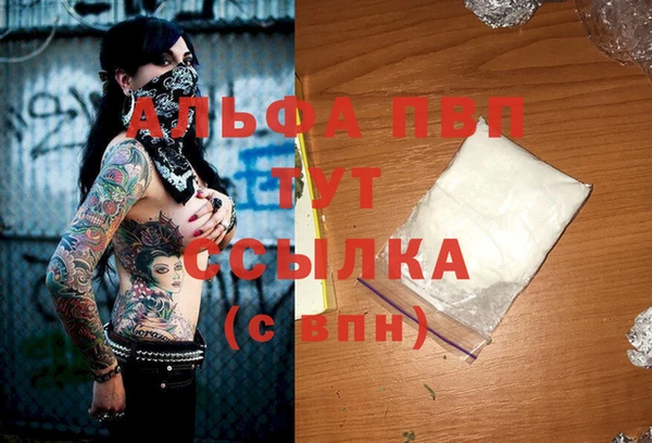 PSILOCYBIN Фурманов