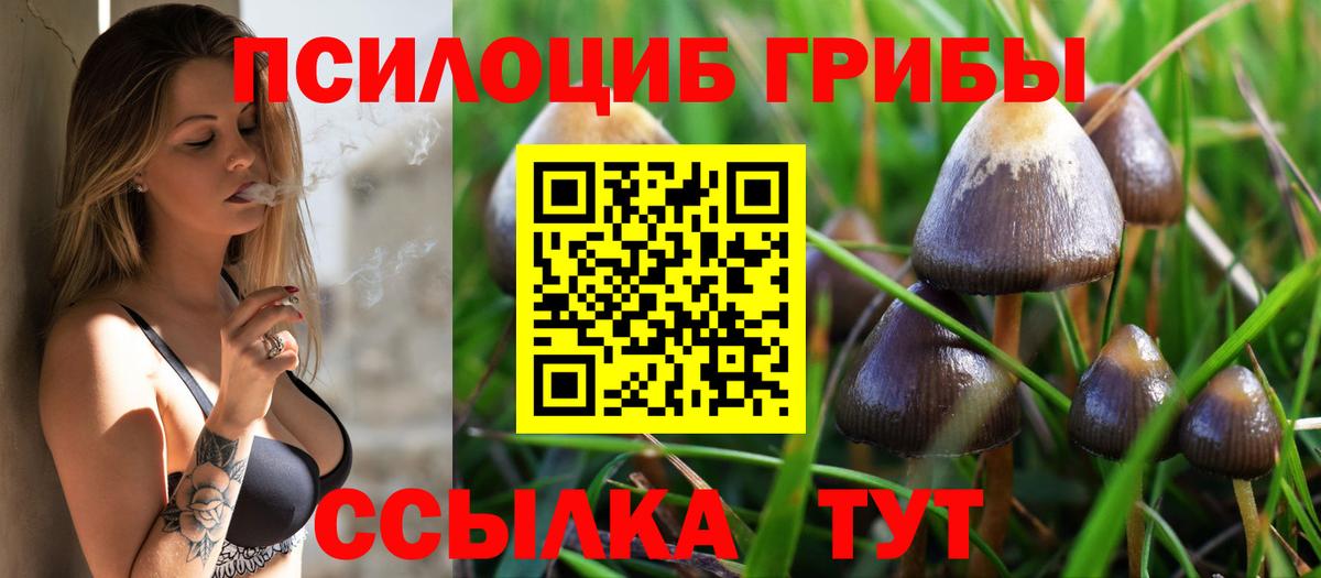 Югорск  закладки  Вход с VPN  Галлюциногенные грибы Magic Shrooms  Псилоцибиновые грибы Psilocybine cubensis 