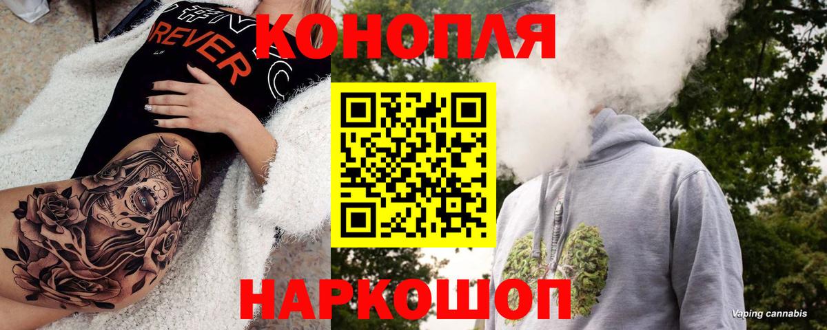 Конопля OG Kush Югорск